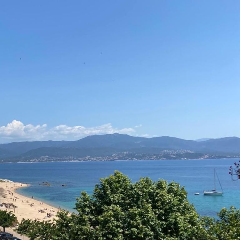 Ajaccio magnifique T2 37m2 centre ville vue mer au bord de la plage Neuf 4 couchages balcon parking privé fermé Clim wifi - Apartment mit 1 Schlafzimmer - 2