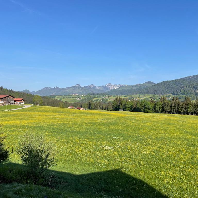 Panoramaresidenz Blindau - Apartment mit Blick auf die Berge - 37
