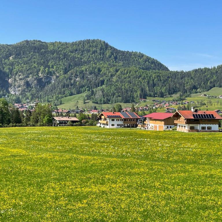 Panoramaresidenz Blindau - Apartment mit Blick auf die Berge - 38