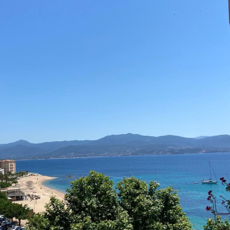 Ajaccio magnifique T2 37m2 centre ville vue mer au bord de la plage Neuf 4 couchages balcon parking privé fermé Clim wifi - Apartment mit 1 Schlafzimmer - 15