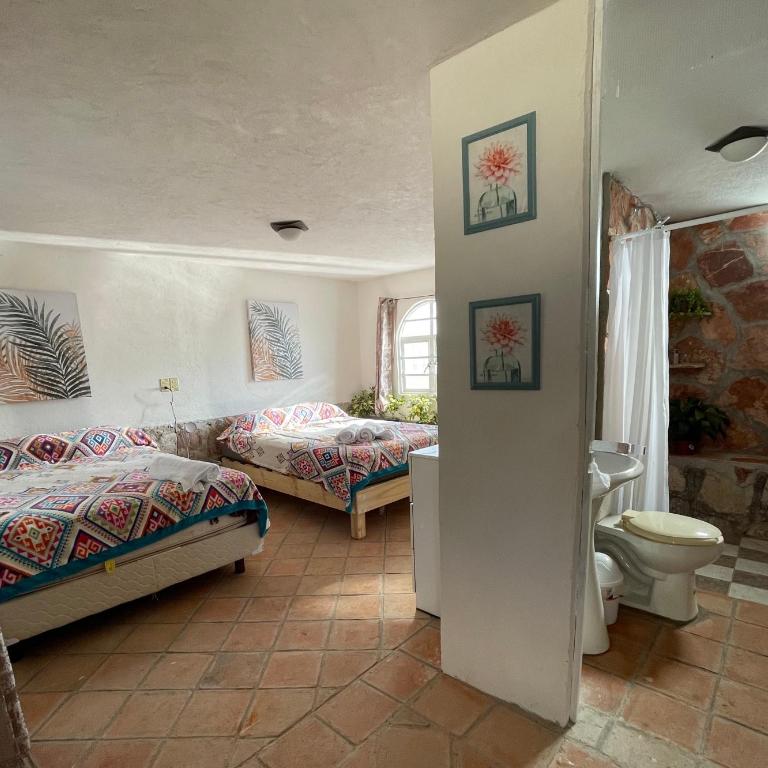 Jardín Quinta Las Fuentes Cabañas, Valsequillo. PUEBLA - Casa con 1 dormitorio - 1