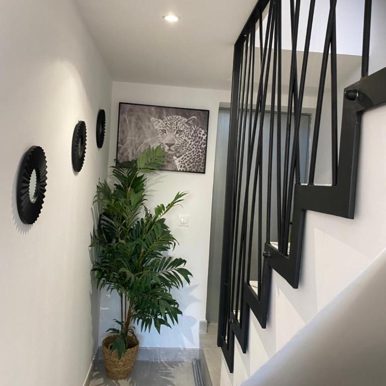 Au soleil - Maison 2 Chambres - 4