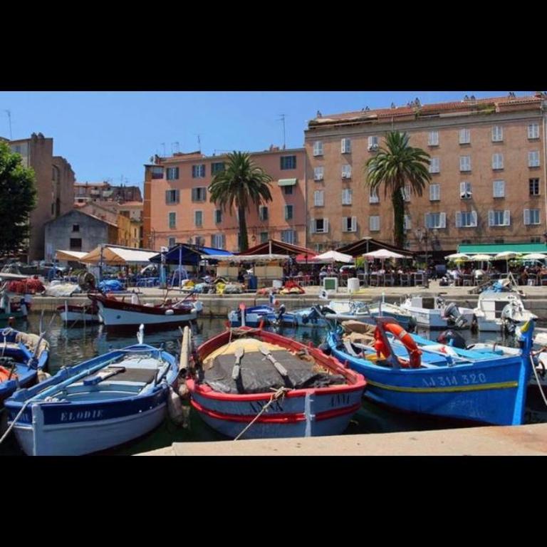 Ajaccio magnifique T2 37m2 centre ville vue mer au bord de la plage Neuf 4 couchages balcon parking privé fermé Clim wifi - Apartment mit 1 Schlafzimmer - 39