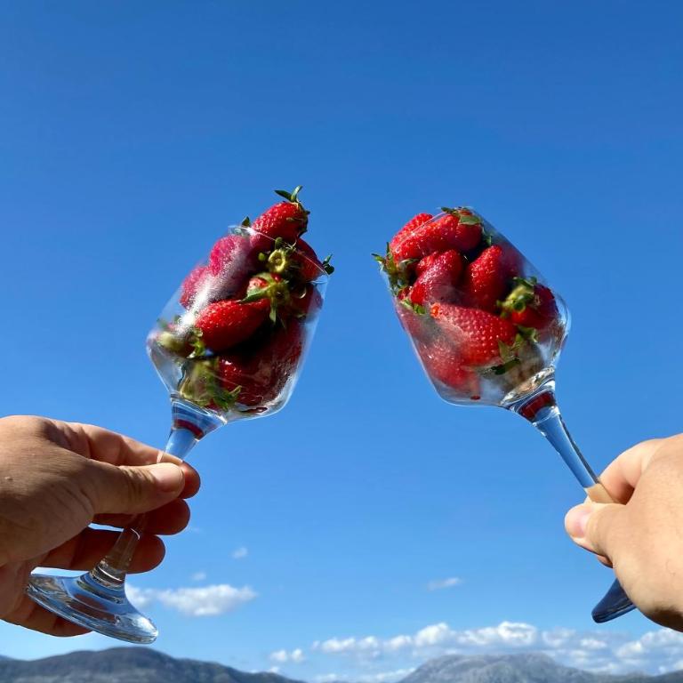 Apartment 365 - Apartman sa Pogledom na More - 6