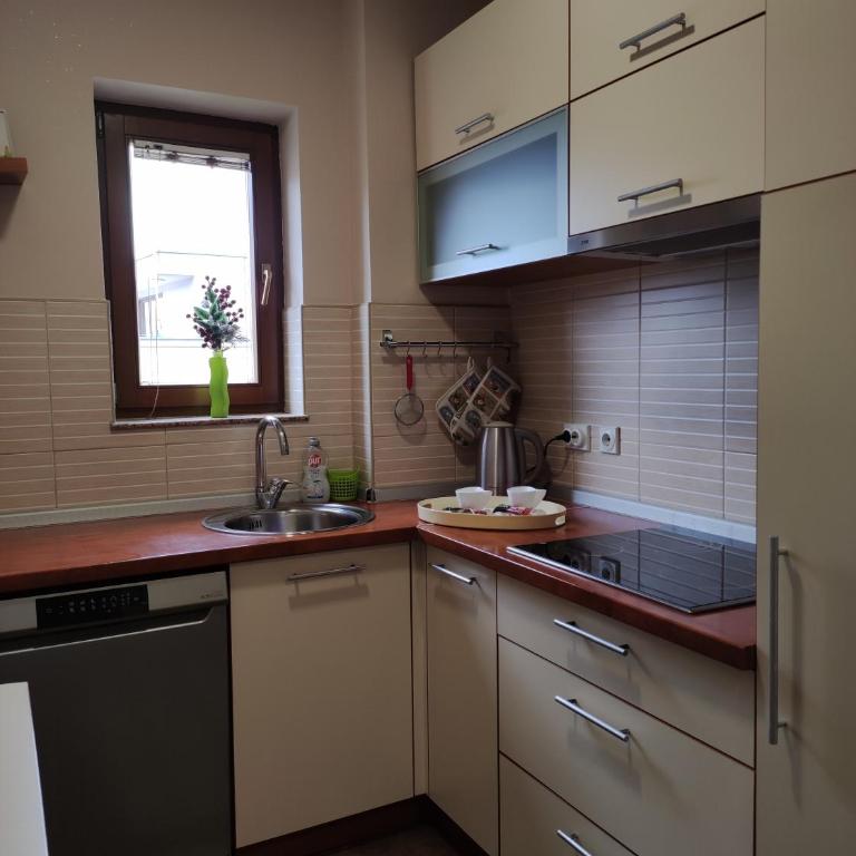 Deluxe Apartment Lejla - Free garage parking - Two-Bedroom Apartment - 14