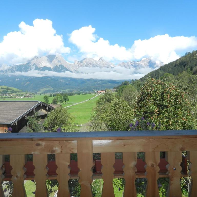 Ferienwohnung Örgenbauer - Appartamento con Vista Montagna - 31