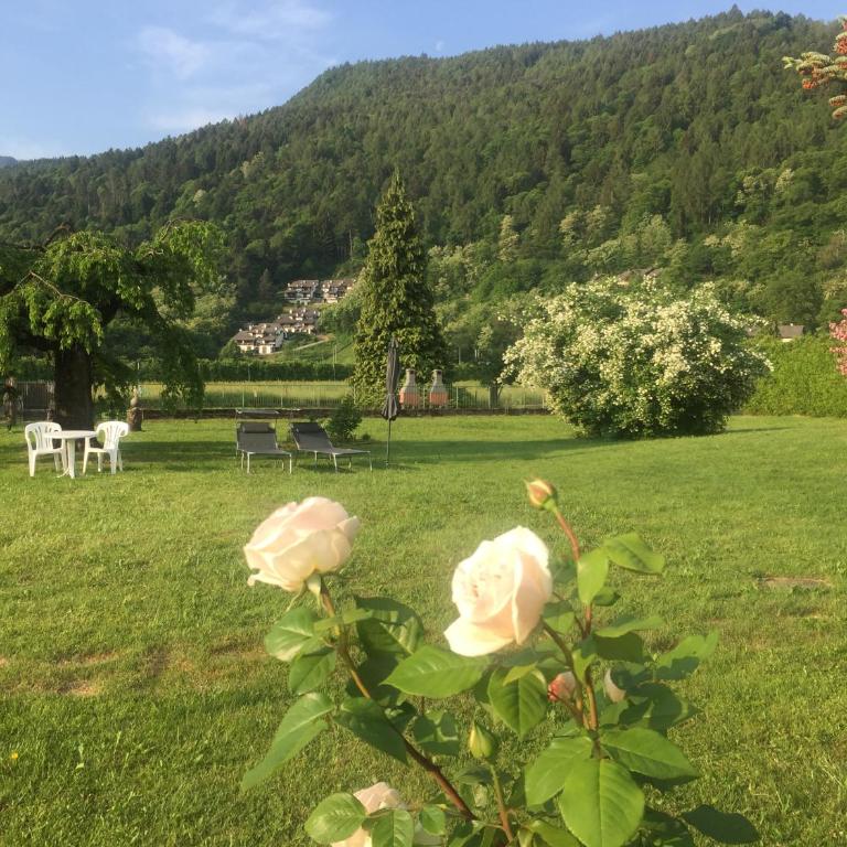 Paradiso sul lago - Casa - 31