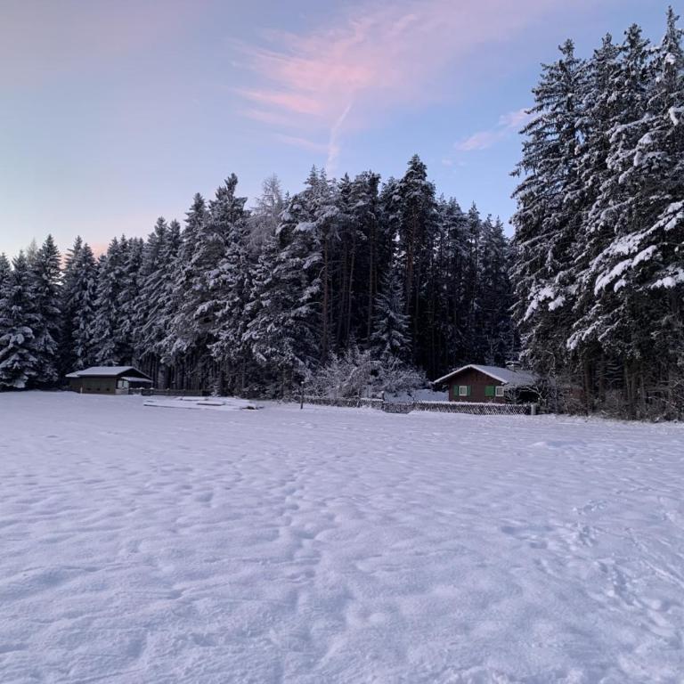 Waldchalet am Eichhof - Two-Bedroom Chalet - 73