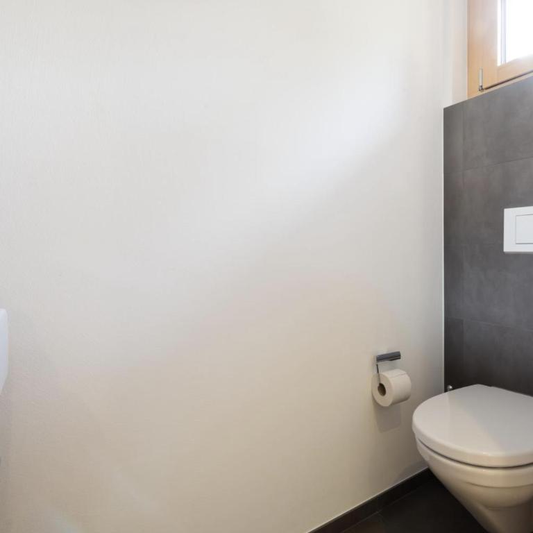 Zer Treichi - Apartment mit Blick auf die Berge - 15