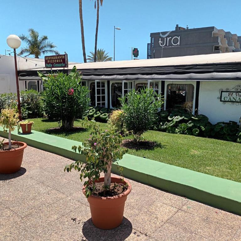 DAC HOME AGAETE PARQUE - Apartamento de 1 dormitorio - 26