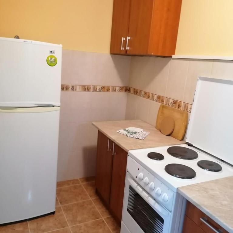 Apartmani Ljumović Budva - Apartman sa Pogledom na Vrt - 12