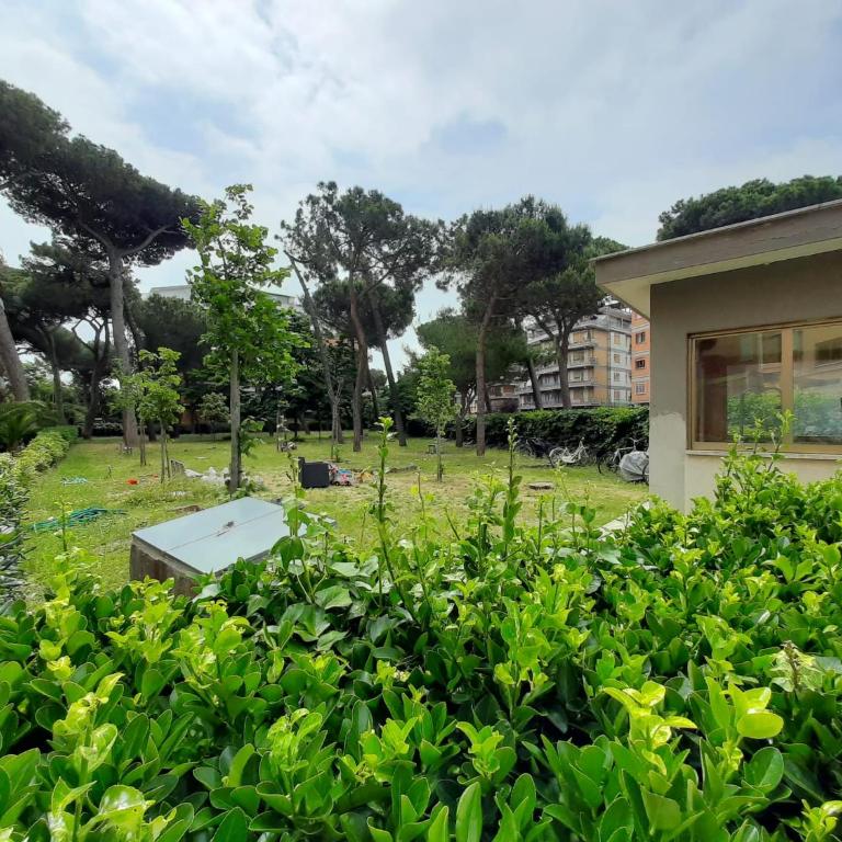 Casa Casella, delizioso bilocale a due passi dal mare - Appartamento con 1 Camera da Letto - 38