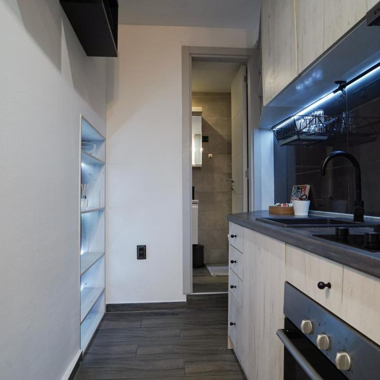 Luxury Apt Near Belgrade Center w/Patio and Garden - Apartman sa 1 Spavaćom Sobom - 8