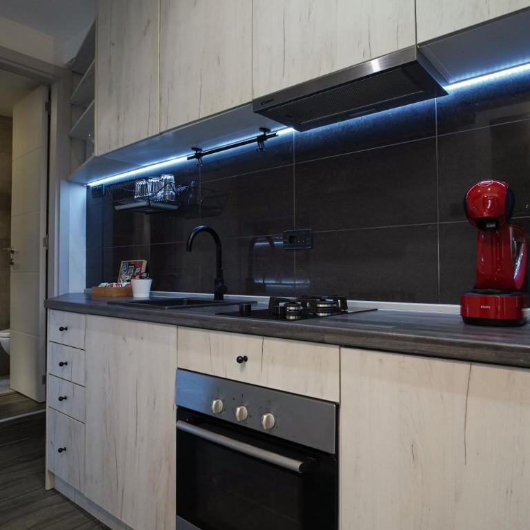 Luxury Apt Near Belgrade Center w/Patio and Garden - Apartman sa 1 Spavaćom Sobom - 3