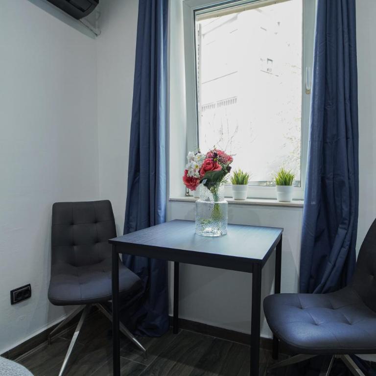 Luxury Apt Near Belgrade Center w/Patio and Garden - Apartman sa 1 Spavaćom Sobom - 27