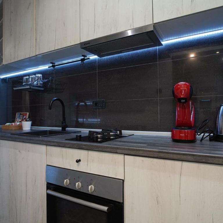 Luxury Apt Near Belgrade Center w/Patio and Garden - Apartman sa 1 Spavaćom Sobom - 28