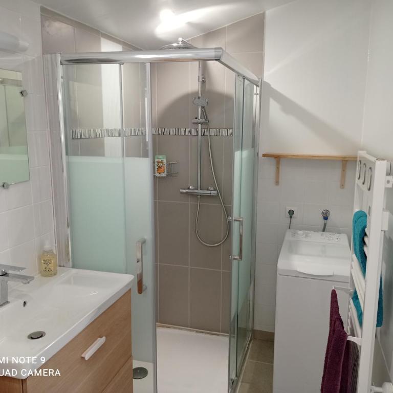 Studio Gujan-mestras - Appartement 1 Chambre - 4