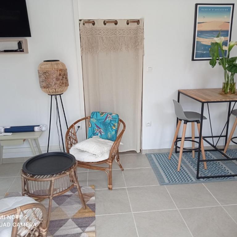 Studio Gujan-mestras - Appartement 1 Chambre - 5