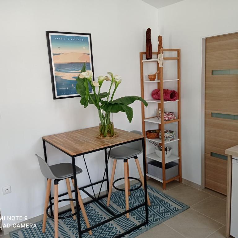 Studio Gujan-mestras - Appartement 1 Chambre - 6