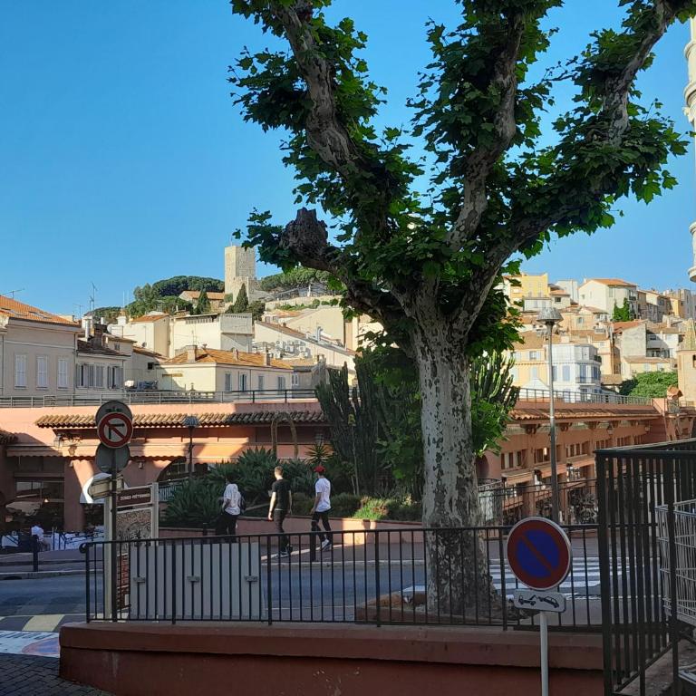 FORVILLE APARTMENT Cannes - Apartamento de 1 dormitorio - 9