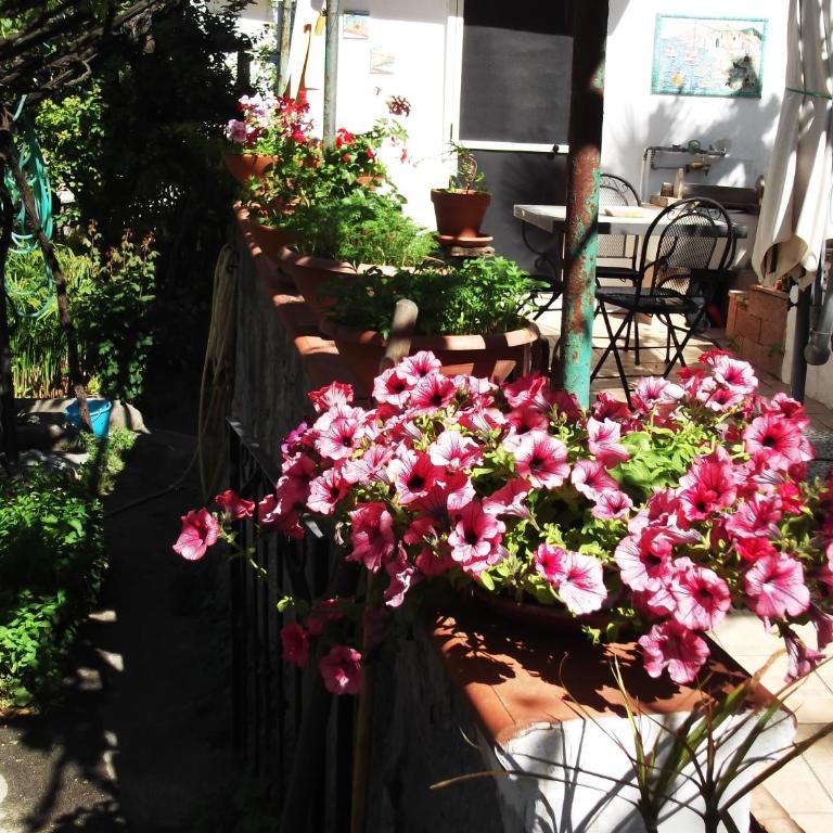 Le Mimose - Casa Vacanze - 51