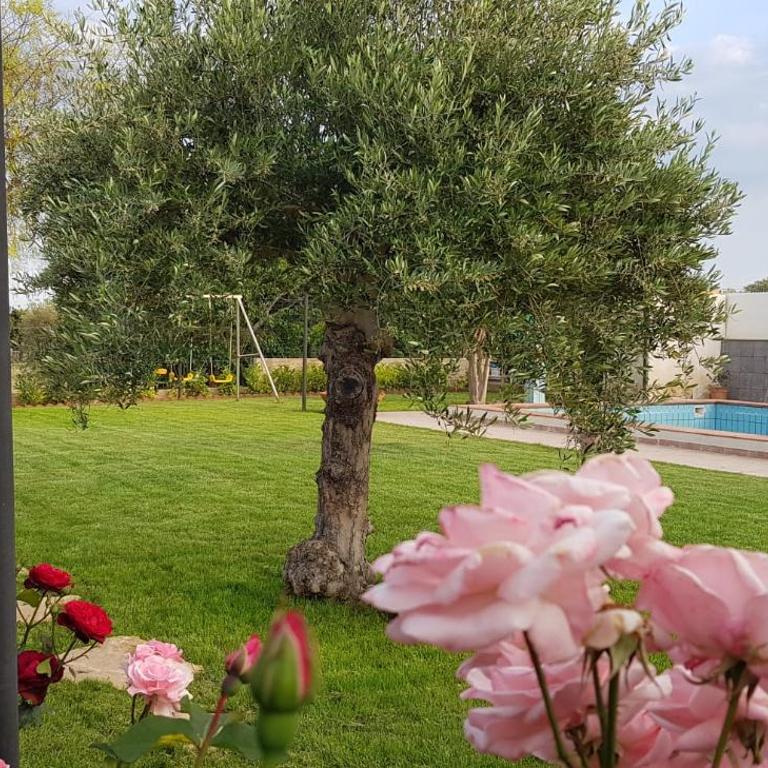 VILLA SESIFE Avola - Appartamento - 24