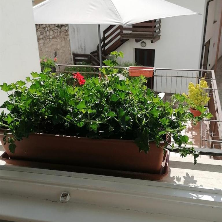 B&B RINGAT - Camera Quadrupla con Balcone - 16