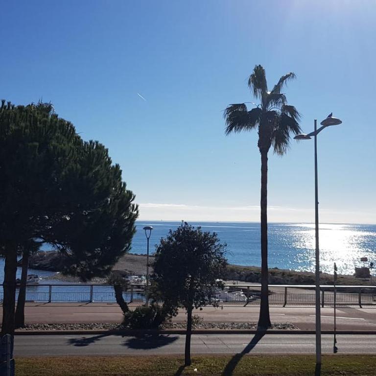 Front de mer,plage, piscine, parking - Apartment mit 2 Schlafzimmern - 34