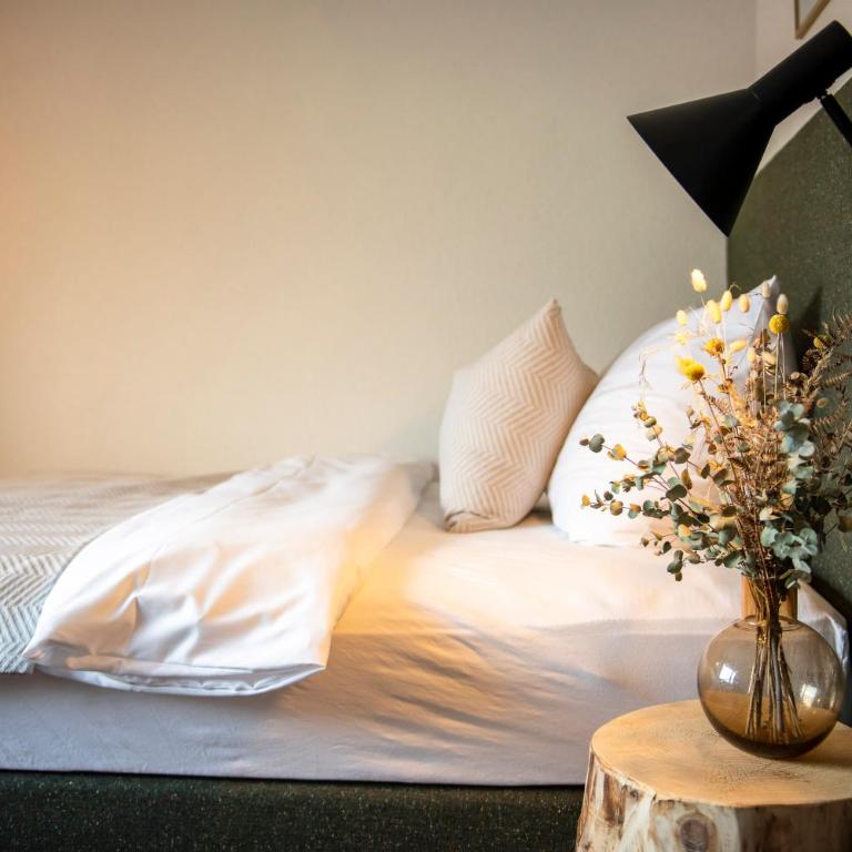 Flem Mountain Lodge - Doppelzimmer mit französischem Bett - 2