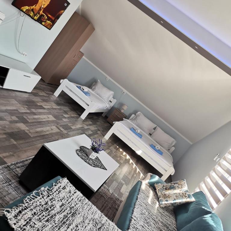 Apartmani Maxi-M Sokobanja - Porodična Soba - 2