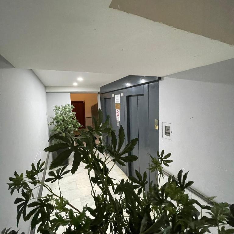 A un passo dal Castello Maschio ANGIOINO Appartment - Appartamento con 1 Camera da Letto - 22