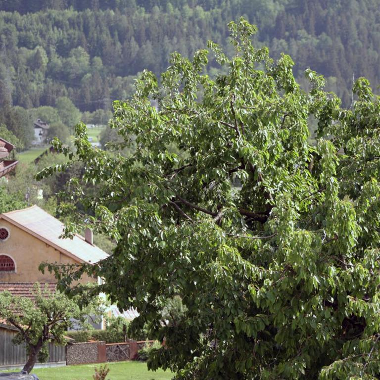 110m2 Basecamp - Dolomiten, Weissensee und Adria - Apartment mit 2 Schlafzimmern - 12