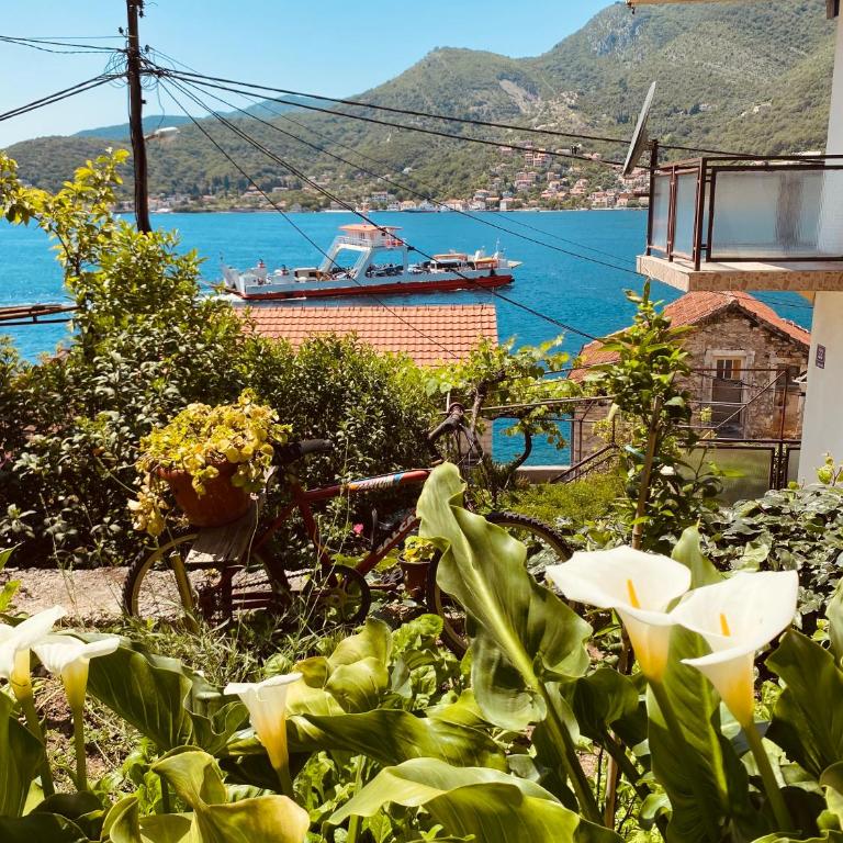 Apartments Vučinović - Studio s Terasom i Pogledom na More (3 Odrasle Osobe) - 1