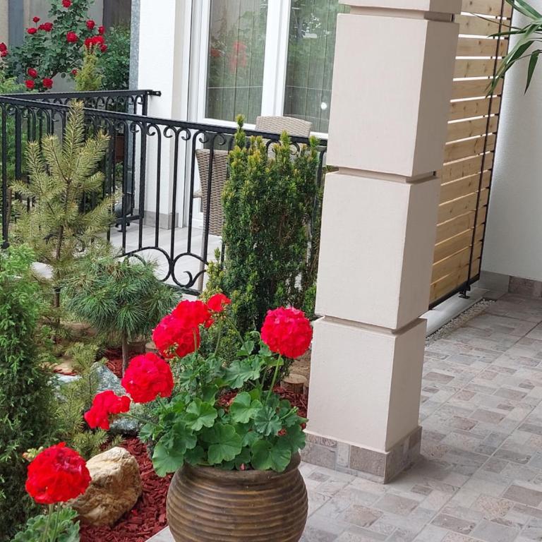 Apartmani Radulović - Apartment with Garden View - 10