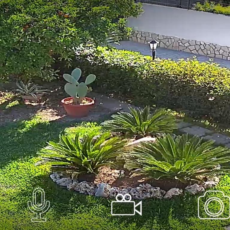 Cedro sabbiadoro Avola - Casa con 2 Camere da Letto - 27