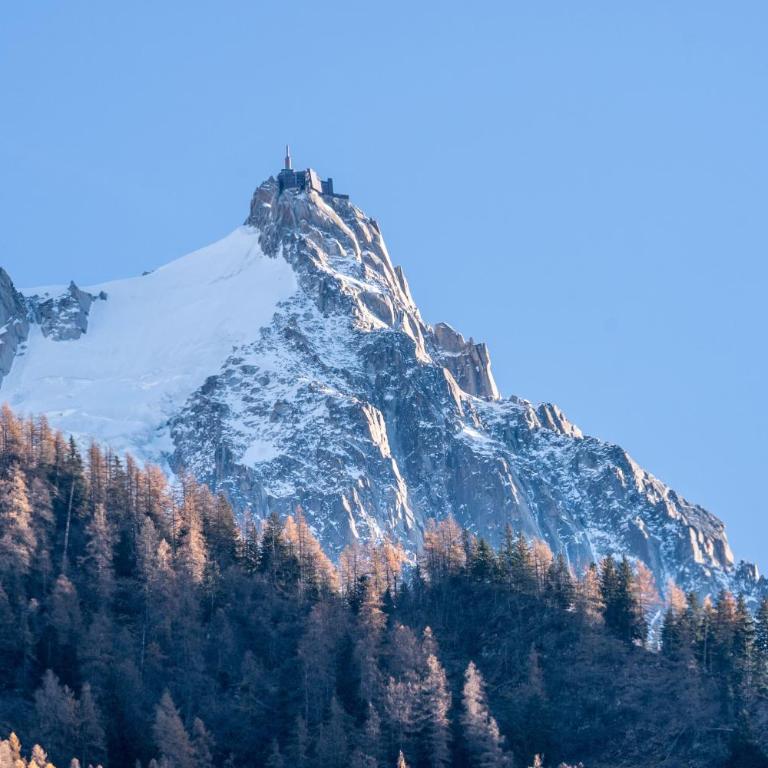 Chamonix Sud studio with Mont Blanc views - Studio - 13