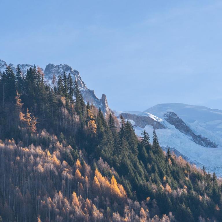 Chamonix Sud studio with Mont Blanc views - Studio - 8