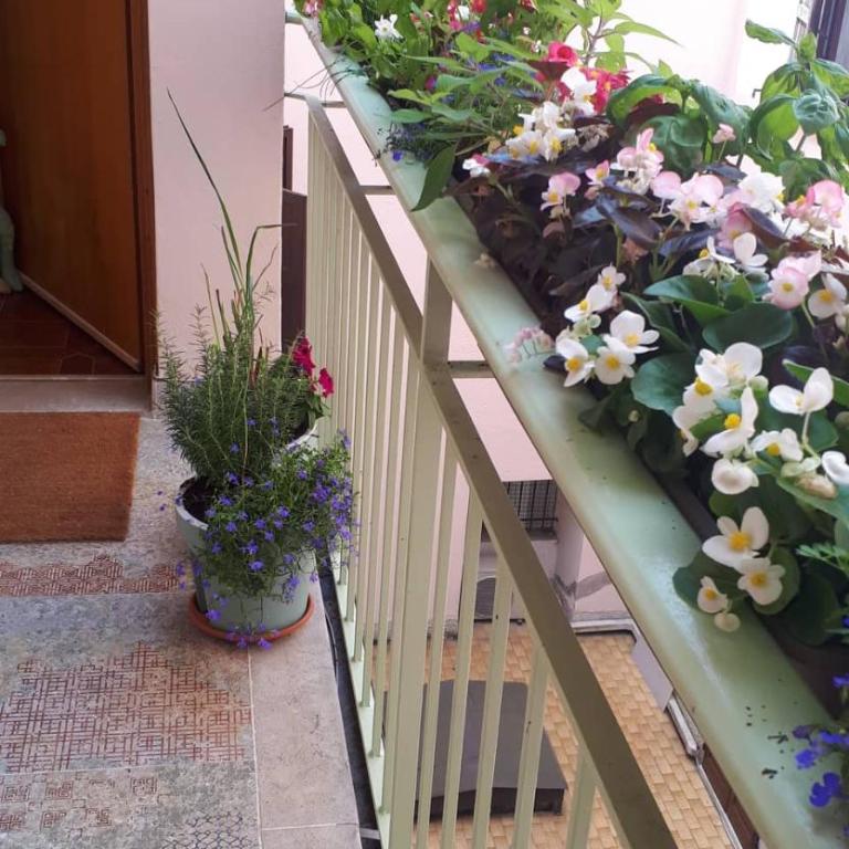 Schönes Altstadt-Apartment ''Dolce Vita'' inkl Parkplatz - Appartamento con 1 Camera da Letto - 38