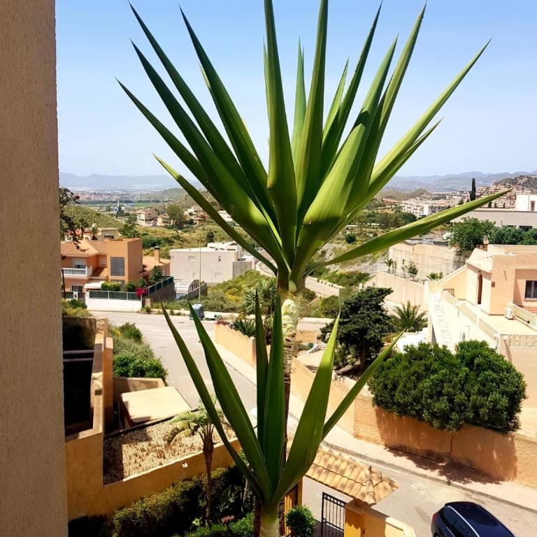 Villa Marina Aguilas Apt. A1B4 - Apartamento de 2 dormitorios - 11