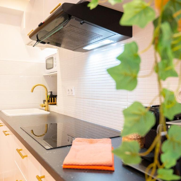 Appartement cocooning proche mer - Appartement 1 Chambre - 26