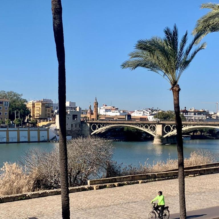 FAM Sevillian Townhouse - Casa de 4 dormitorios - 39