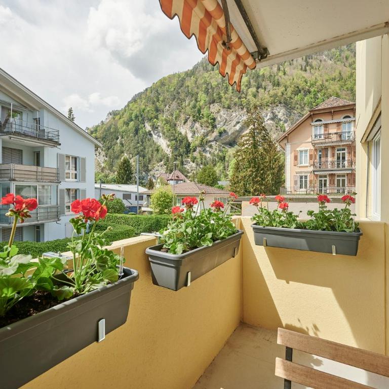 Stay Switzerland Apartments - Studio with Mountain View - 9