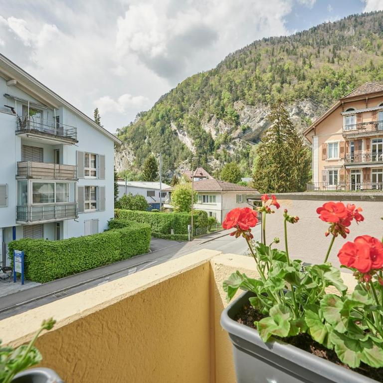 Stay Switzerland Apartments - Studio with Mountain View - 8