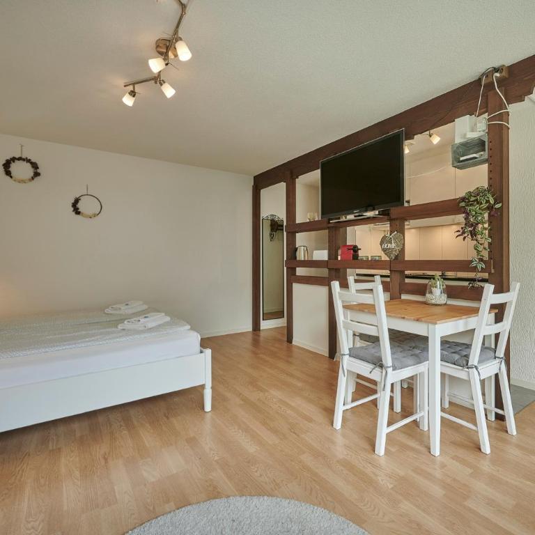 Stay Switzerland Apartments - Studio with Mountain View - 4