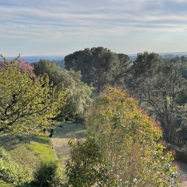Exclusif Appart piscine chauffée de luxe 10 min centre AixenPc Belvoir SISSI - Appartamento - Piano Terra - 54