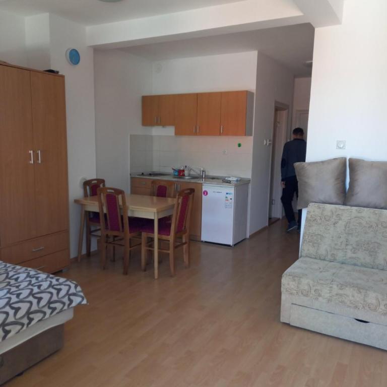 Smeštaj Voli - Borići studio-apartman, Sokobanja - One-Bedroom Apartment - 3
