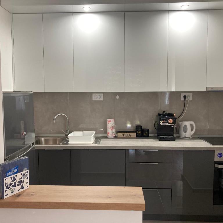 Apartman N&N, 53 kvm, blizu centra - One-Bedroom Apartment - 22