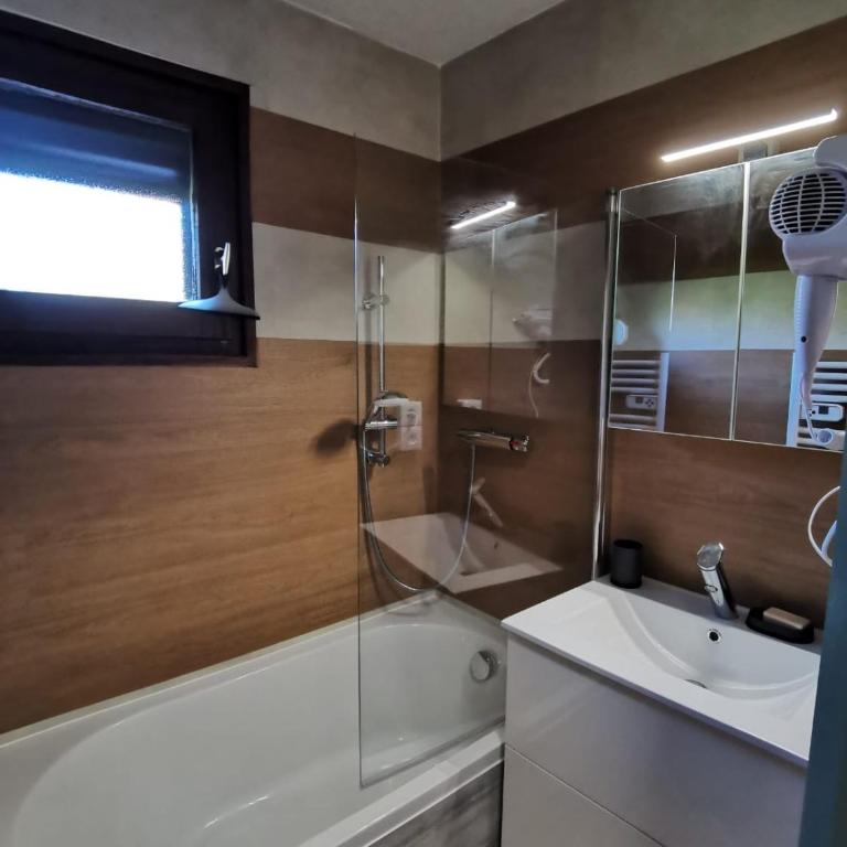 Studio rénové Portes du Soleil Chatel Abondance - Appartement 1 Chambre - 11