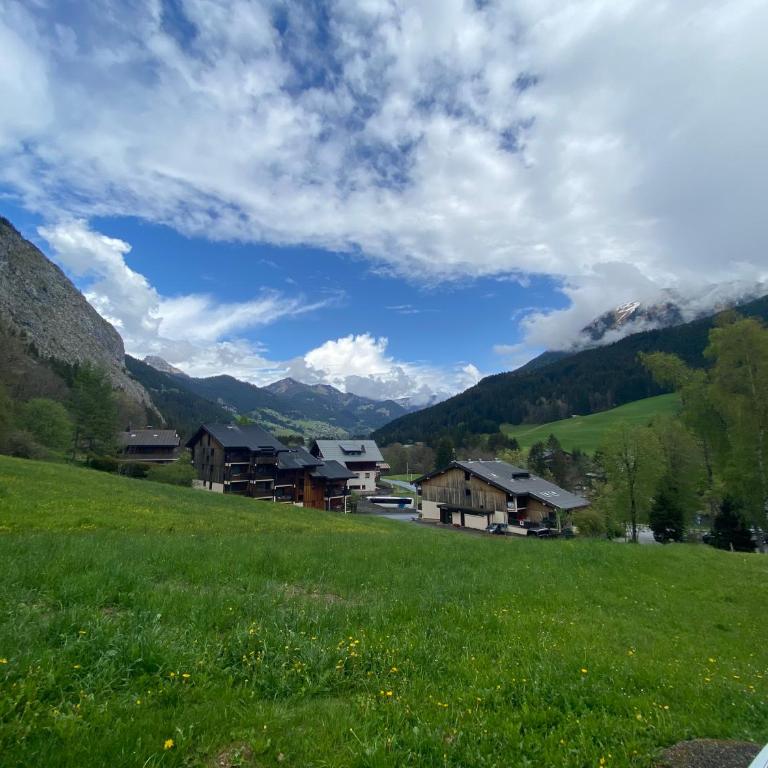Studio rénové Portes du Soleil Chatel Abondance - Appartement 1 Chambre - 12