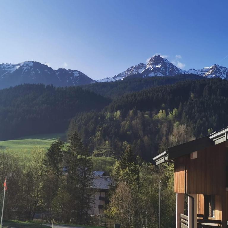 Studio rénové Portes du Soleil Chatel Abondance - Appartement 1 Chambre - 14